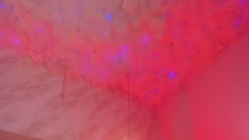 _hollywood_1 live