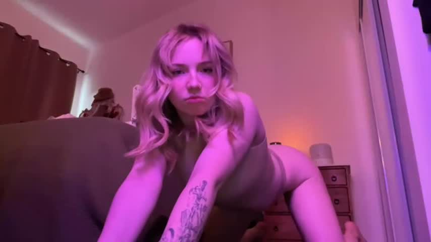 briellesnow live