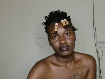 broken_haloo live