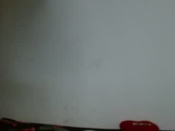 catalina_ada live