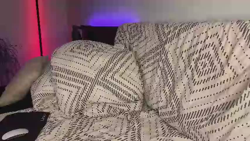 dalmatian_girl live