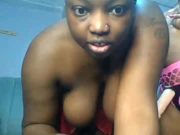 goldencurves_bunny live