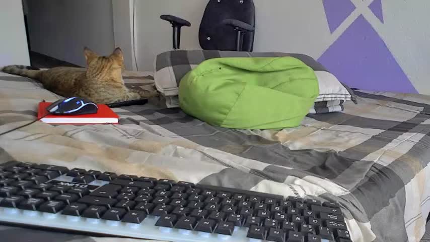 katy_contreras live