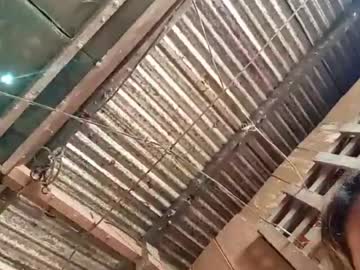 miss_venice04 live