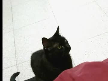 missdarcy_ live