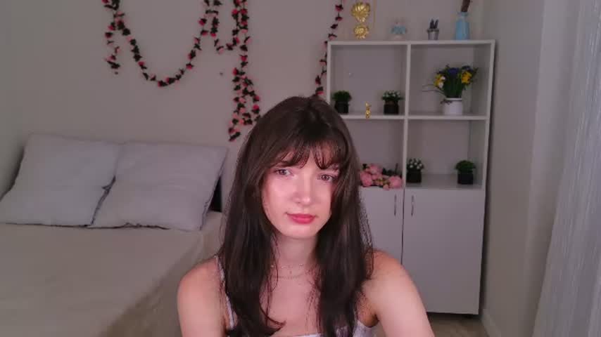owleva live