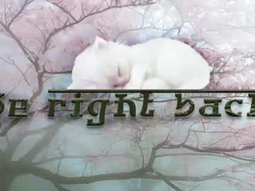 sleepyheadcats live