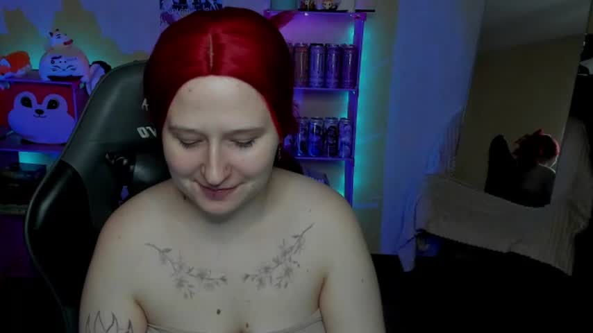 sugar_spiced live