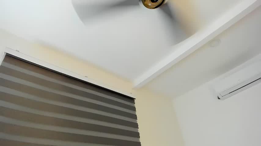 sunn_ray live