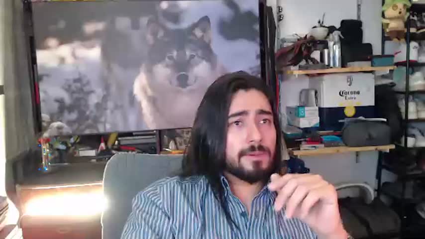 valtook 🥊 live stream