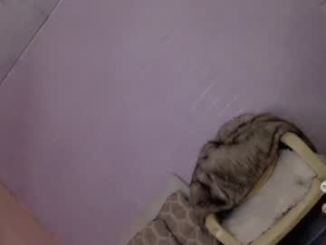 xsabbylicious69 🅱 nude cam